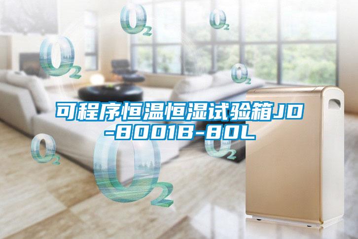 可程序恒溫恒濕試驗箱JD-8001B-80L