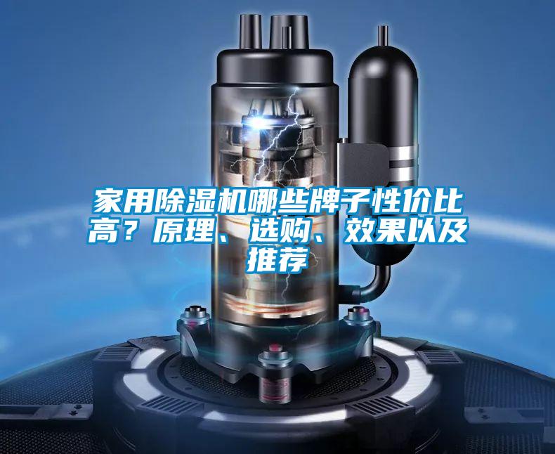家用除濕機(jī)哪些牌子性價(jià)比高？原理、選購、效果以及推薦