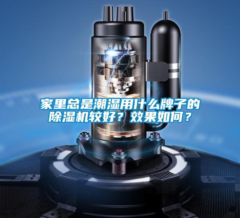 家里總是潮濕用什么牌子的除濕機較好？效果如何？