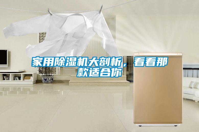 家用除濕機大剖析，看看那款適合你