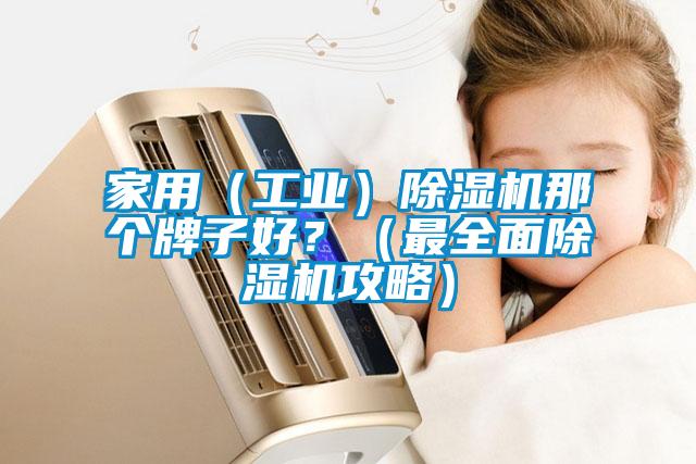 家用（工業(yè)）除濕機(jī)那個(gè)牌子好？（最全面除濕機(jī)攻略）