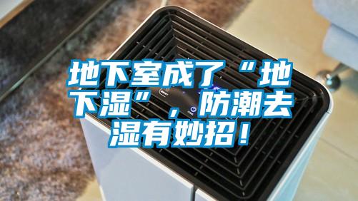 地下室成了“地下濕”，防潮去濕有妙招！