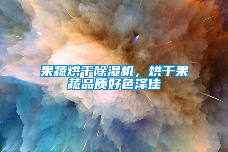 果蔬烘干除濕機，烘干果蔬品質(zhì)好色澤佳