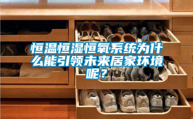 恒溫恒濕恒氧系統為什么能引領未來居家環境呢？