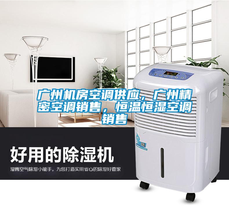 廣州機房空調供應，廣州精密空調銷售，恒溫恒濕空調銷售