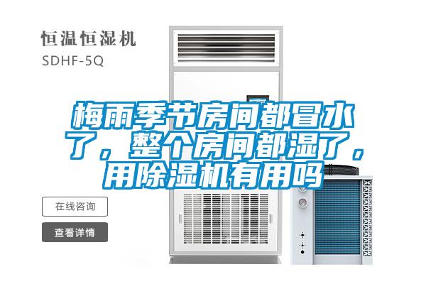 梅雨季節(jié)房間都冒水了，整個(gè)房間都濕了，用除濕機(jī)有用嗎