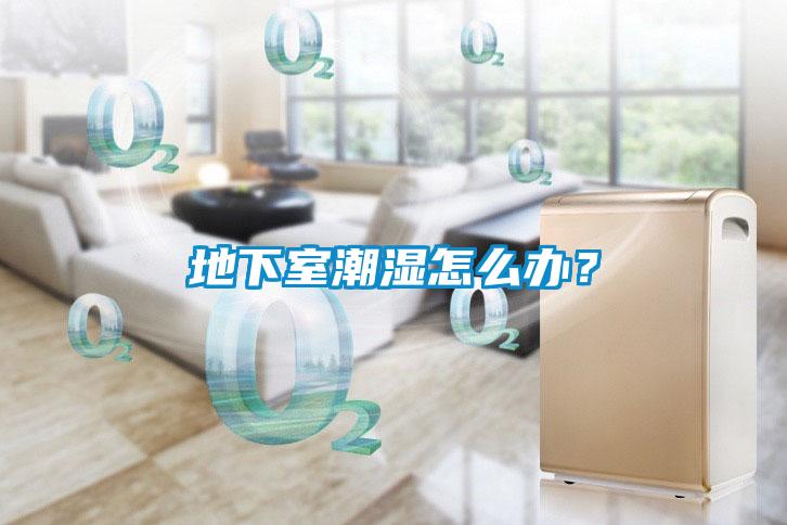 地下室潮濕怎么辦？