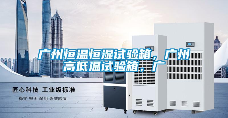 廣州恒溫恒濕試驗箱，廣州高低溫試驗箱，廣