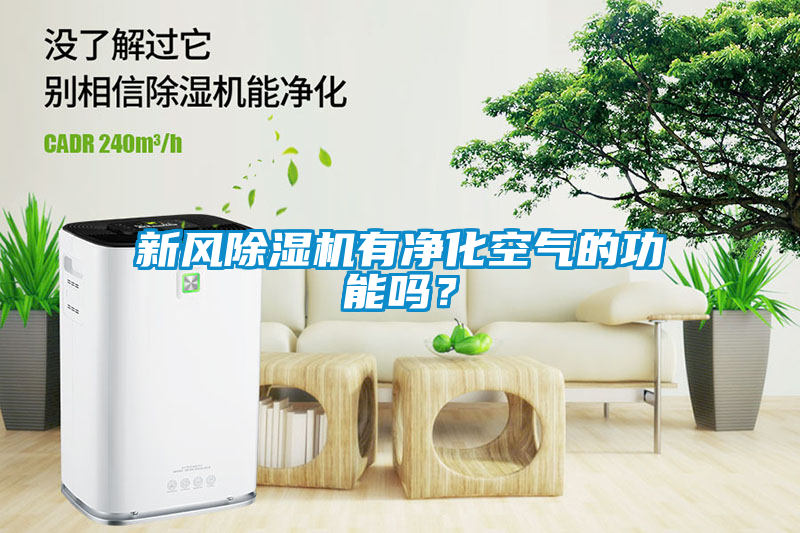 新風(fēng)除濕機有凈化空氣的功能嗎？