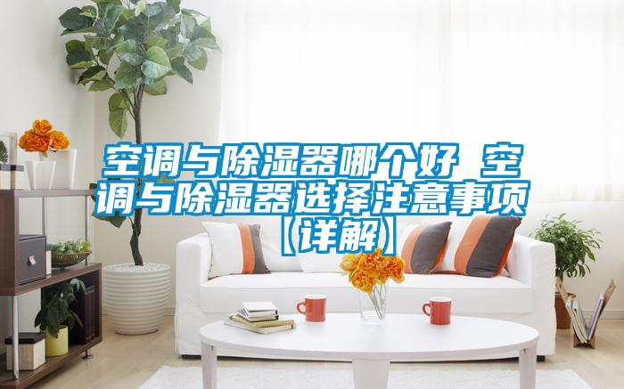 空調(diào)與除濕器哪個好 空調(diào)與除濕器選擇注意事項(xiàng)【詳解】