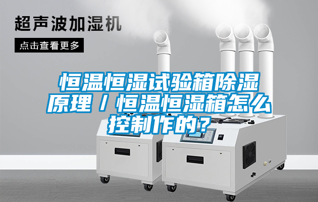 恒溫恒濕試驗(yàn)箱除濕原理／恒溫恒濕箱怎么控制作的？
