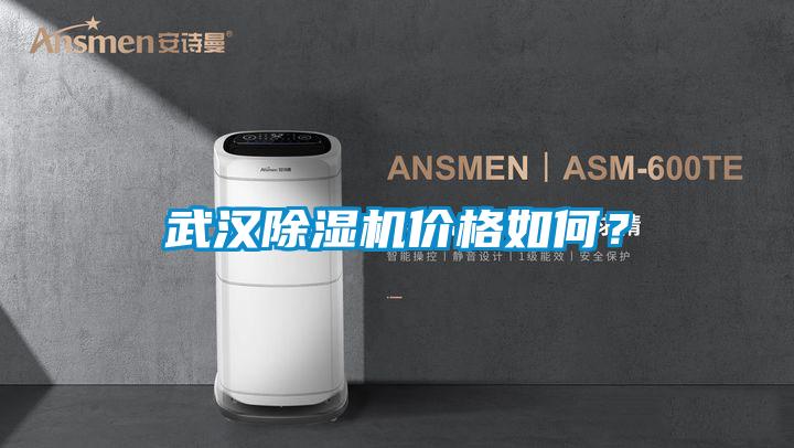 武漢除濕機價格如何？