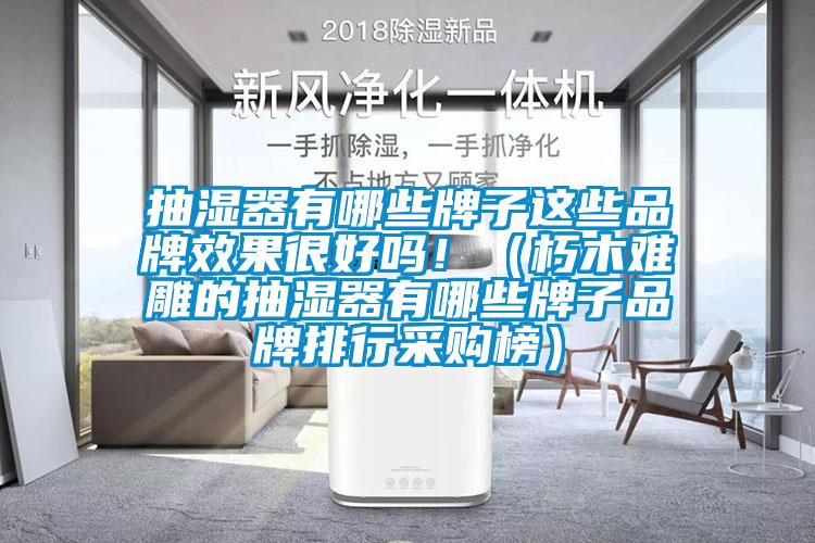 抽濕器有哪些牌子這些品牌效果很好嗎?。ㄐ嗄倦y雕的抽濕器有哪些牌子品牌排行采購榜）