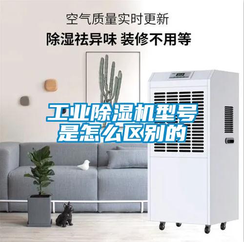 工業(yè)除濕機型號是怎么區(qū)別的