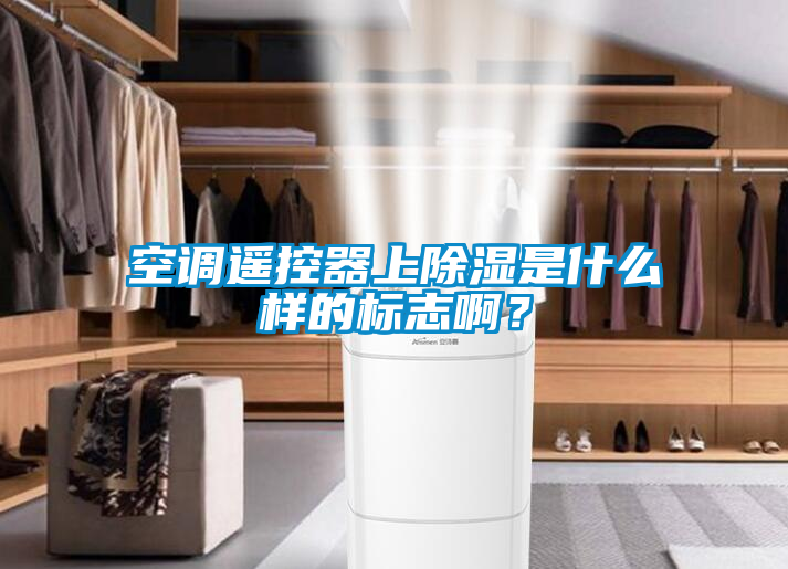 空調(diào)遙控器上除濕是什么樣的標(biāo)志?。?/></p>
						    <p style=