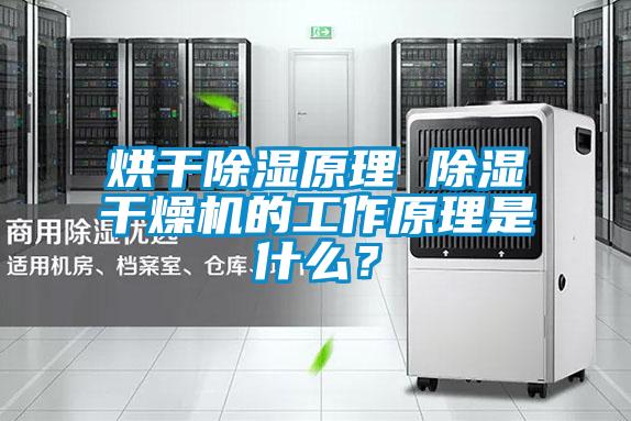烘干除濕原理 除濕干燥機的工作原理是什么？