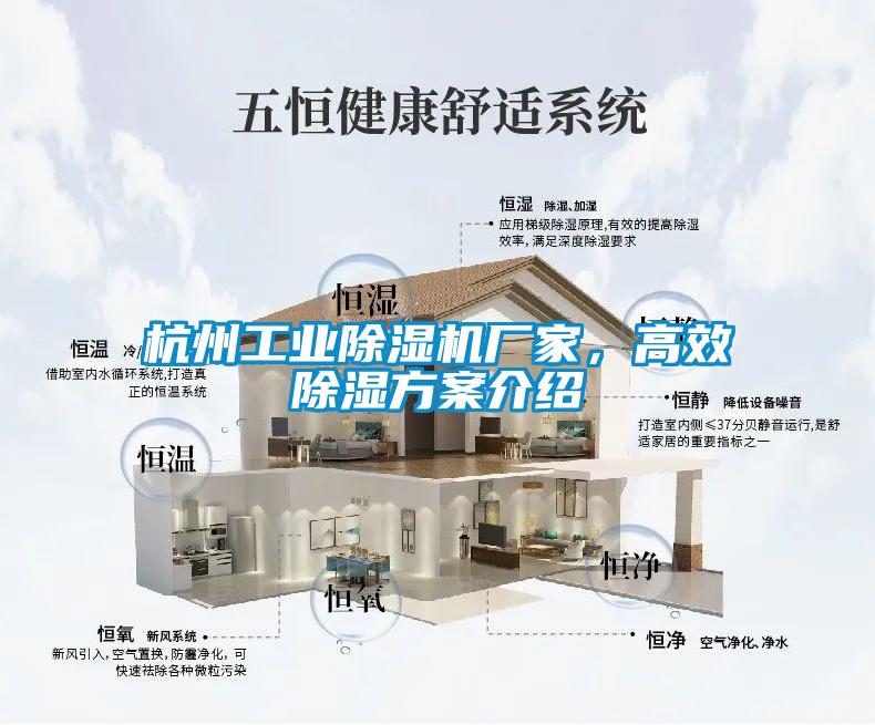 杭州工業(yè)除濕機廠家，高效除濕方案介紹