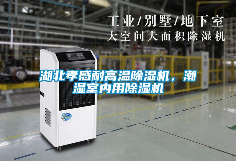 湖北孝感耐高溫除濕機，潮濕室內用除濕機