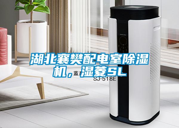 湖北襄樊配電室除濕機(jī)，濕菱SL
