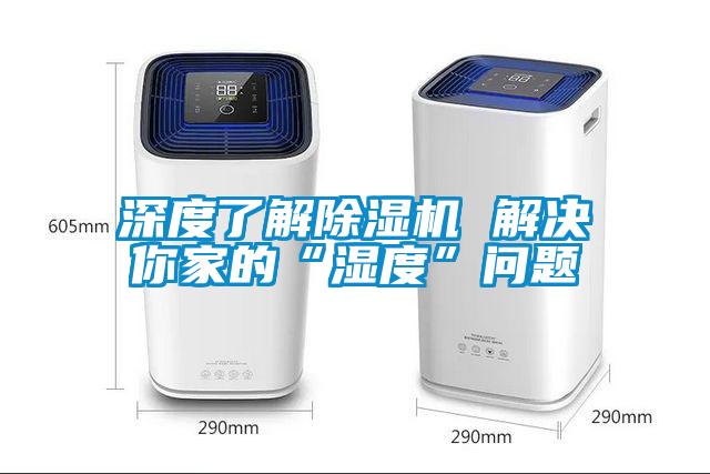 深度了解除濕機(jī) 解決你家的“濕度”問(wèn)題