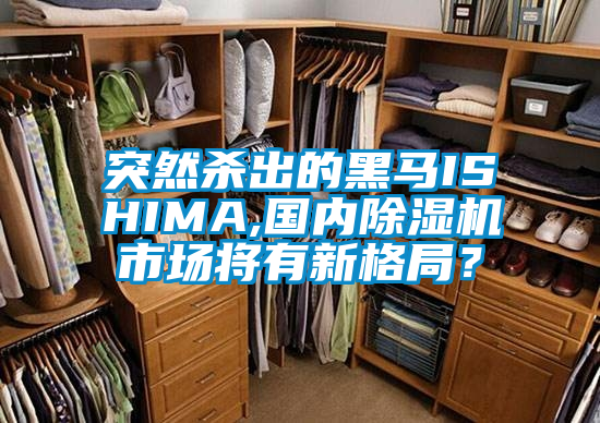 突然殺出的黑馬ISHIMA,國(guó)內(nèi)除濕機(jī)市場(chǎng)將有新格局？