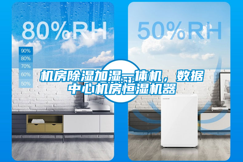 機(jī)房除濕加濕一體機(jī)，數(shù)據(jù)中心機(jī)房恒濕機(jī)器