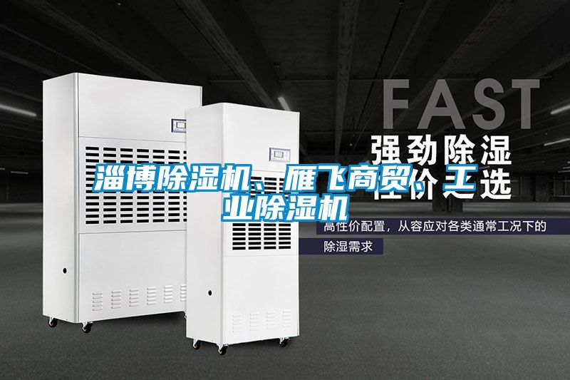 淄博除濕機、雁飛商貿、工業除濕機
