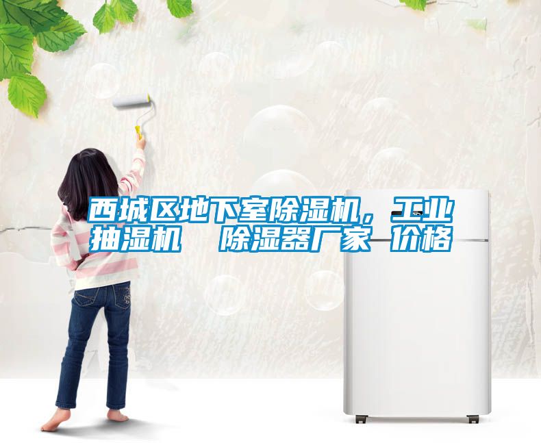 西城區(qū)地下室除濕機(jī)，工業(yè)抽濕機(jī)  除濕器廠家 價(jià)格