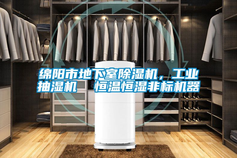綿陽市地下室除濕機，工業抽濕機  恒溫恒濕非標機器