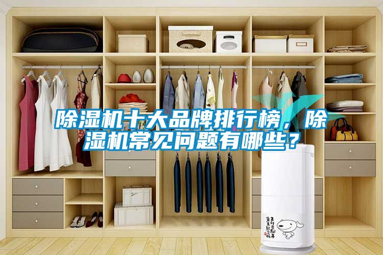 除濕機十大品牌排行榜，除濕機常見問題有哪些？