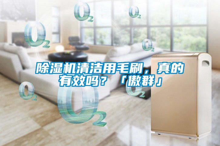 除濕機(jī)清潔用毛刷，真的有效嗎？「傲群」