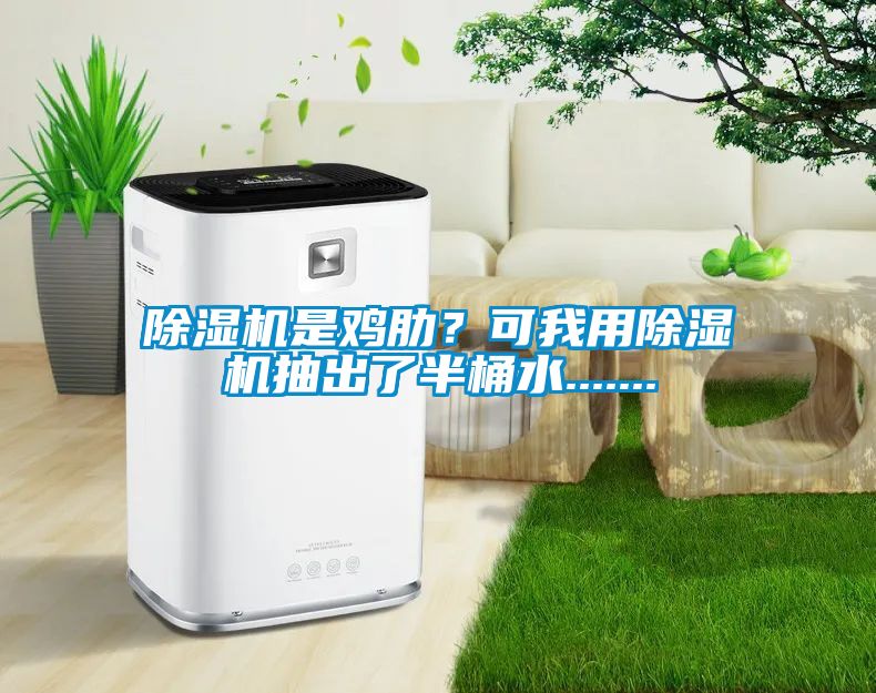 除濕機(jī)是雞肋？可我用除濕機(jī)抽出了半桶水.......
