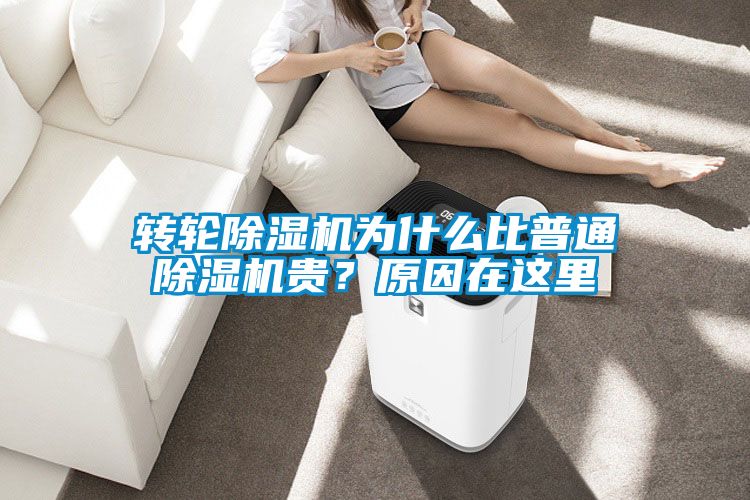 轉輪除濕機為什么比普通除濕機貴？原因在這里
