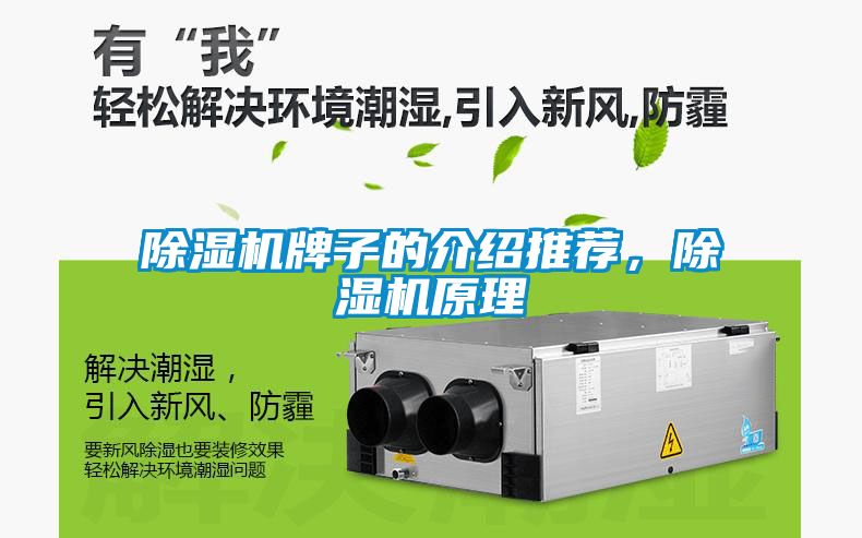 除濕機牌子的介紹推薦，除濕機原理