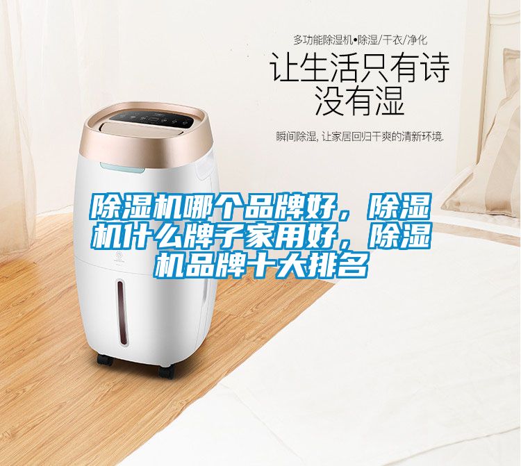 除濕機哪個品牌好，除濕機什么牌子家用好，除濕機品牌十大排名