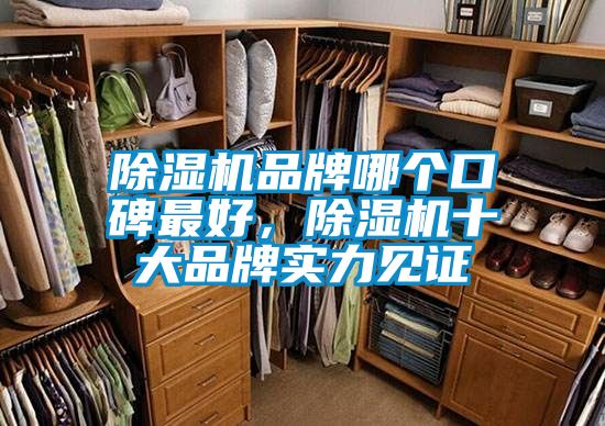 除濕機(jī)品牌哪個(gè)口碑最好，除濕機(jī)十大品牌實(shí)力見(jiàn)證