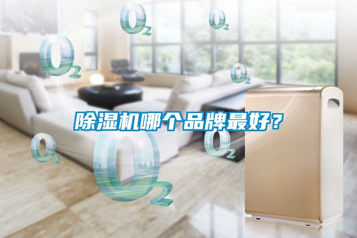 除濕機(jī)哪個品牌最好？