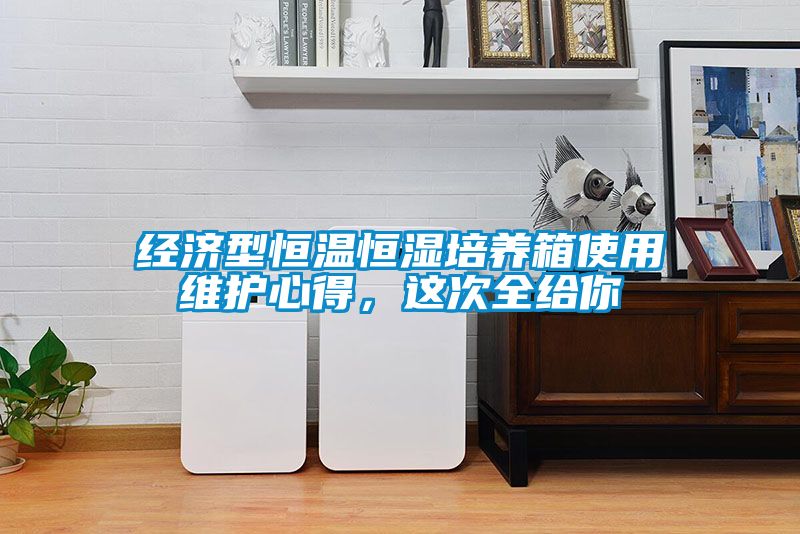 經濟型恒溫恒濕培養箱使用維護心得，這次全給你