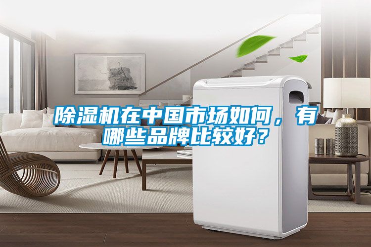 除濕機(jī)在中國市場如何，有哪些品牌比較好？