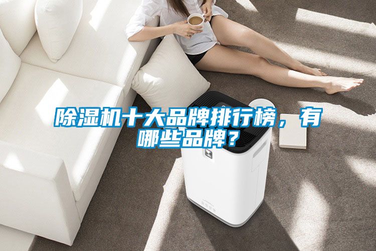 除濕機(jī)十大品牌排行榜，有哪些品牌？