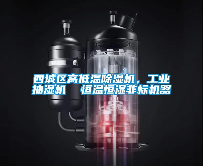 西城區(qū)高低溫除濕機，工業(yè)抽濕機  恒溫恒濕非標機器