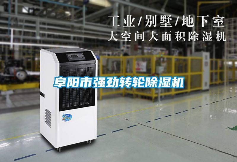 阜陽市強勁轉(zhuǎn)輪除濕機