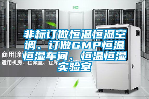 非標訂做恒溫恒濕空調、訂做GMP恒溫恒濕車間、恒溫恒濕實驗室