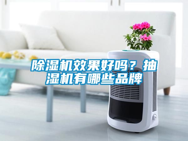 除濕機(jī)效果好嗎？抽濕機(jī)有哪些品牌