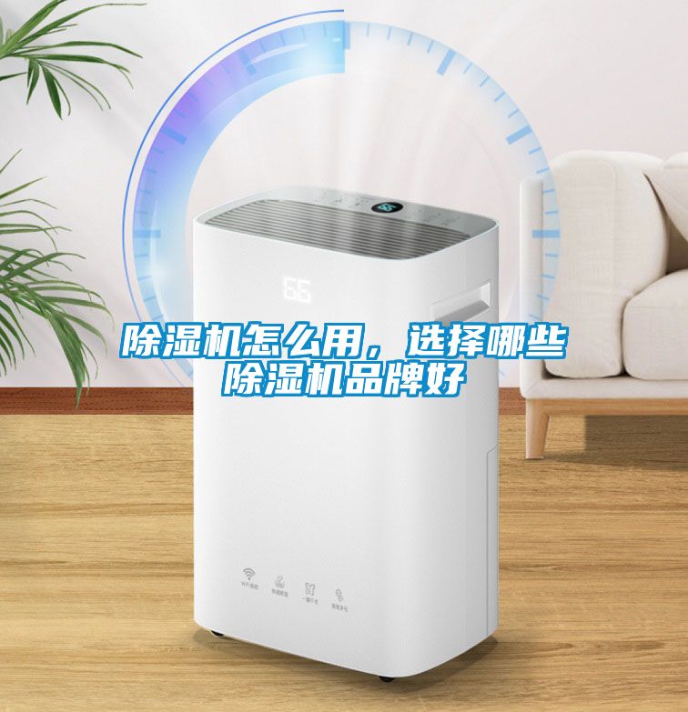除濕機怎么用，選擇哪些除濕機品牌好