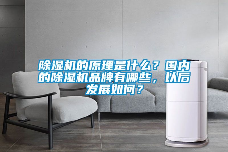 除濕機的原理是什么？國內的除濕機品牌有哪些，以后發展如何？