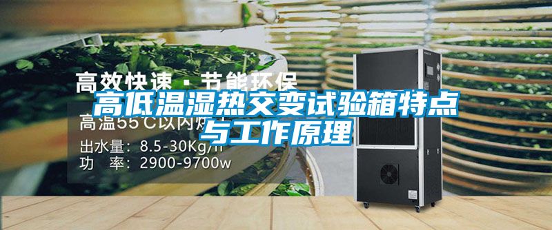 高低溫濕熱交變試驗(yàn)箱特點(diǎn)與工作原理