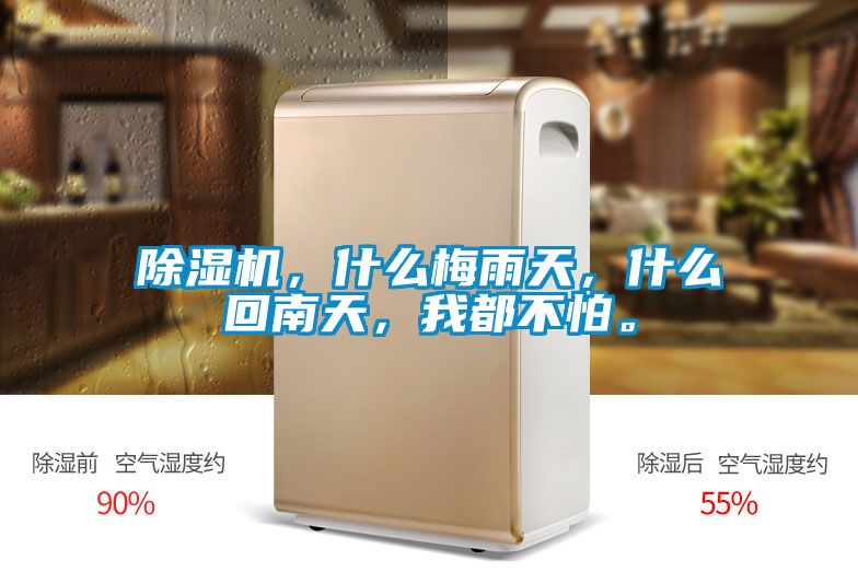 除濕機，什么梅雨天，什么回南天，我都不怕。